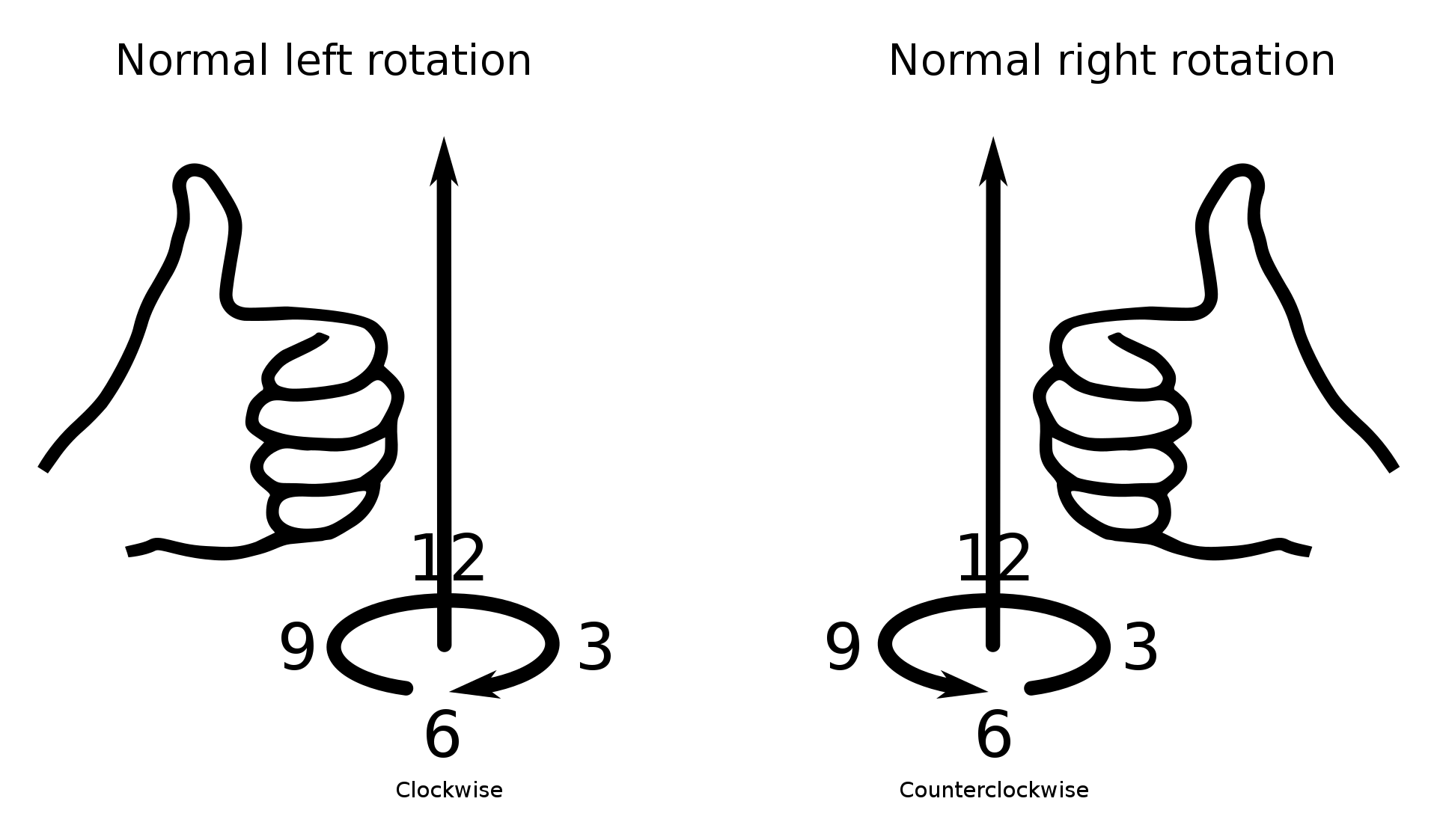 Normal_right-left_rotation.svg.png