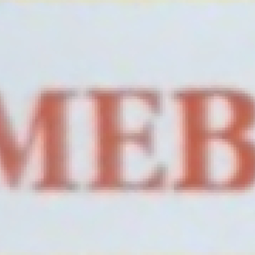 TIMEBIRD 는 뭐하는 회사인지??